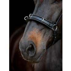 Catago Gentle Bridle Kapsun Næsebånd - PONY - SORT