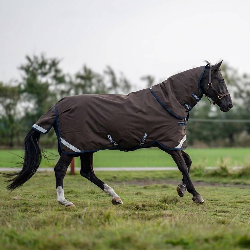 Regntäcke Amigo 1200D Turnout 30g Horseware® Brun