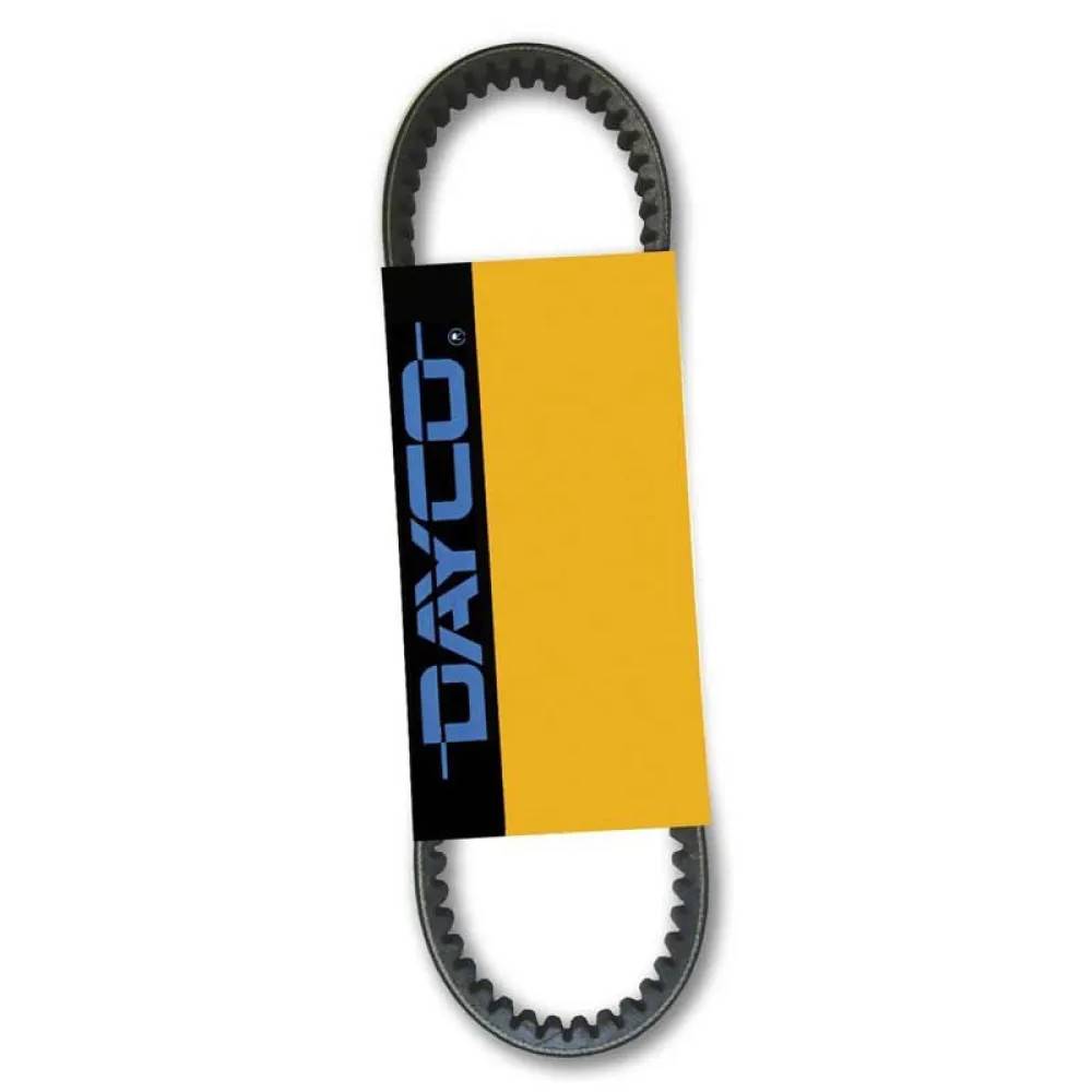 Dayco Piaggio Nrg Pure Jet 50 Drivrem