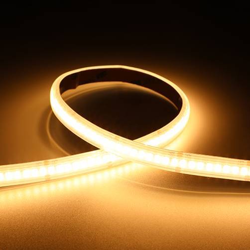 P-Cell 5M Strip 24V IP67 19,2W/922 1760lm/m b:12mm klip:33,33mm