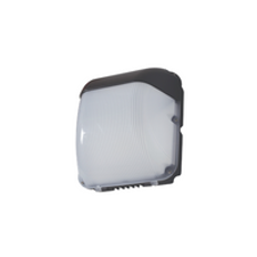 Robus FALCON 50W LED Wall Light, IP65, Black, 5500K, Back Wire Entry