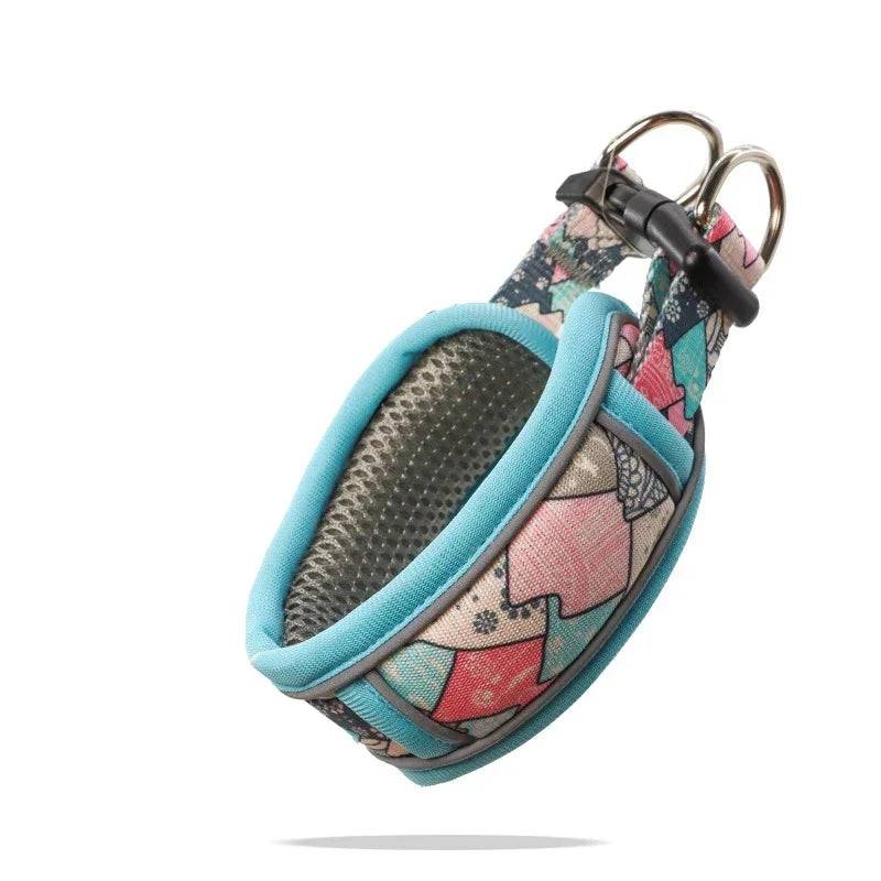 Reflective Breathable Mesh Dog Collar with Double D-Ring – All Sizes - Blue / S-26-38cm