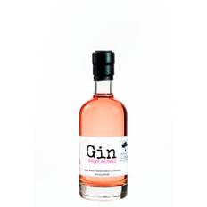Gin og gin likør