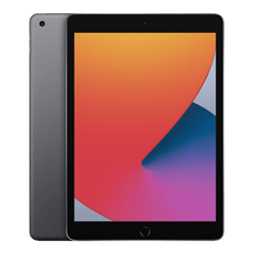 Apple iPad 10.2" (9th Generation) 256 GB / Nyskick / Rymdgrå