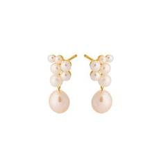 Ocean Treasure Earsticks