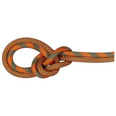 Mammut 9.5 Crag Dry Rope Duodess Helreb størrelse 60 m farve brun