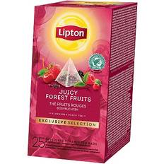 Te LIPTON Trendy T Forest Fruits (25)