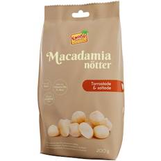 Macadamianötter Rostade & Saltade