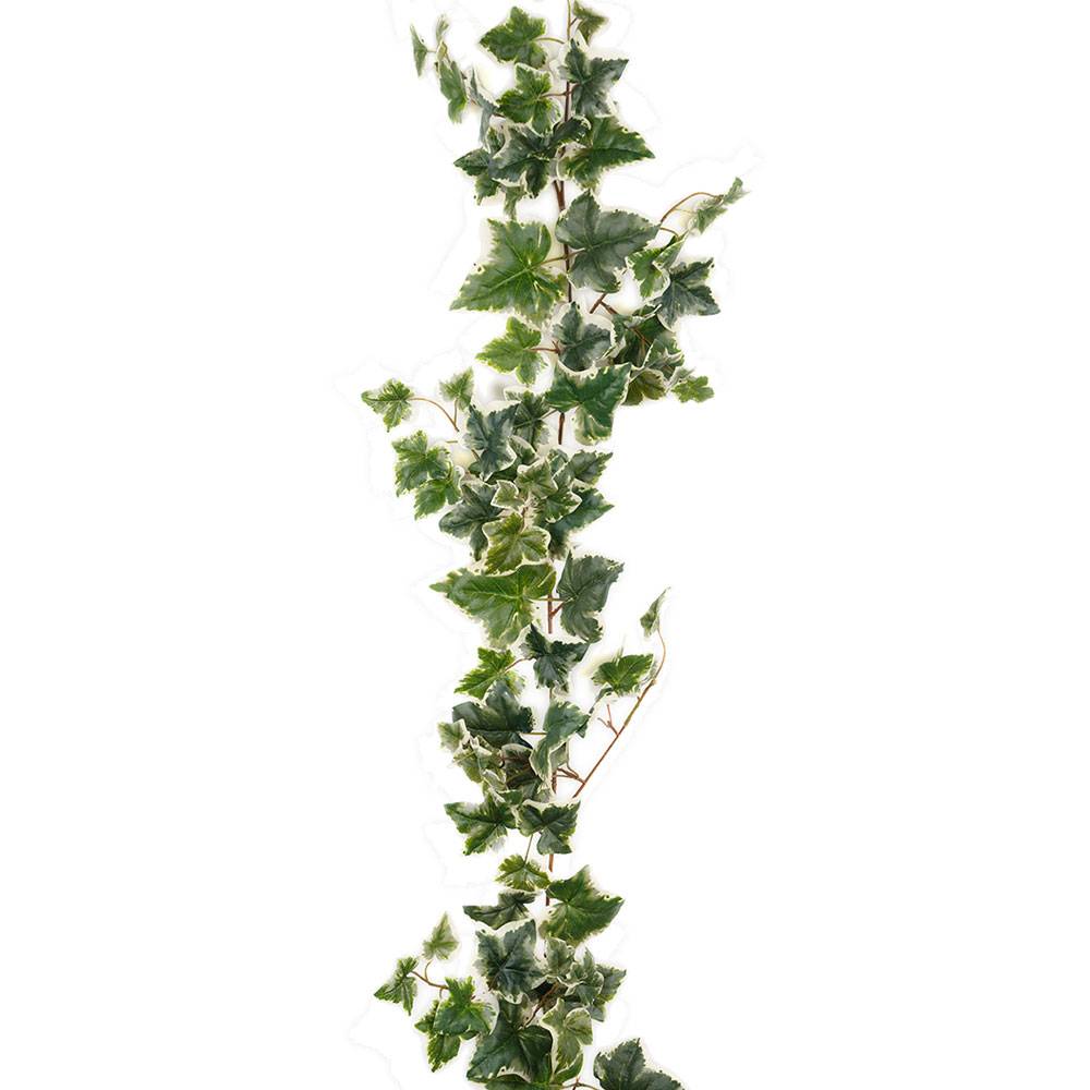 Girlang Murgröna Grön Vit - 180 cm