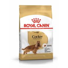 RC Cocker Spaniel Adult 2 x 12 kg