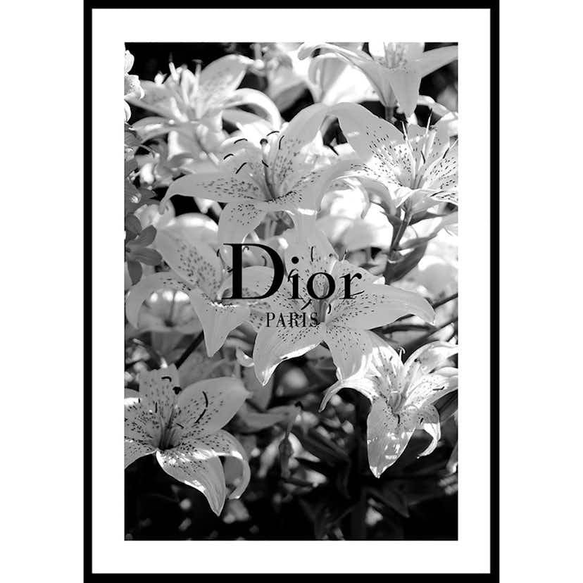 Dior Paris 50x70
