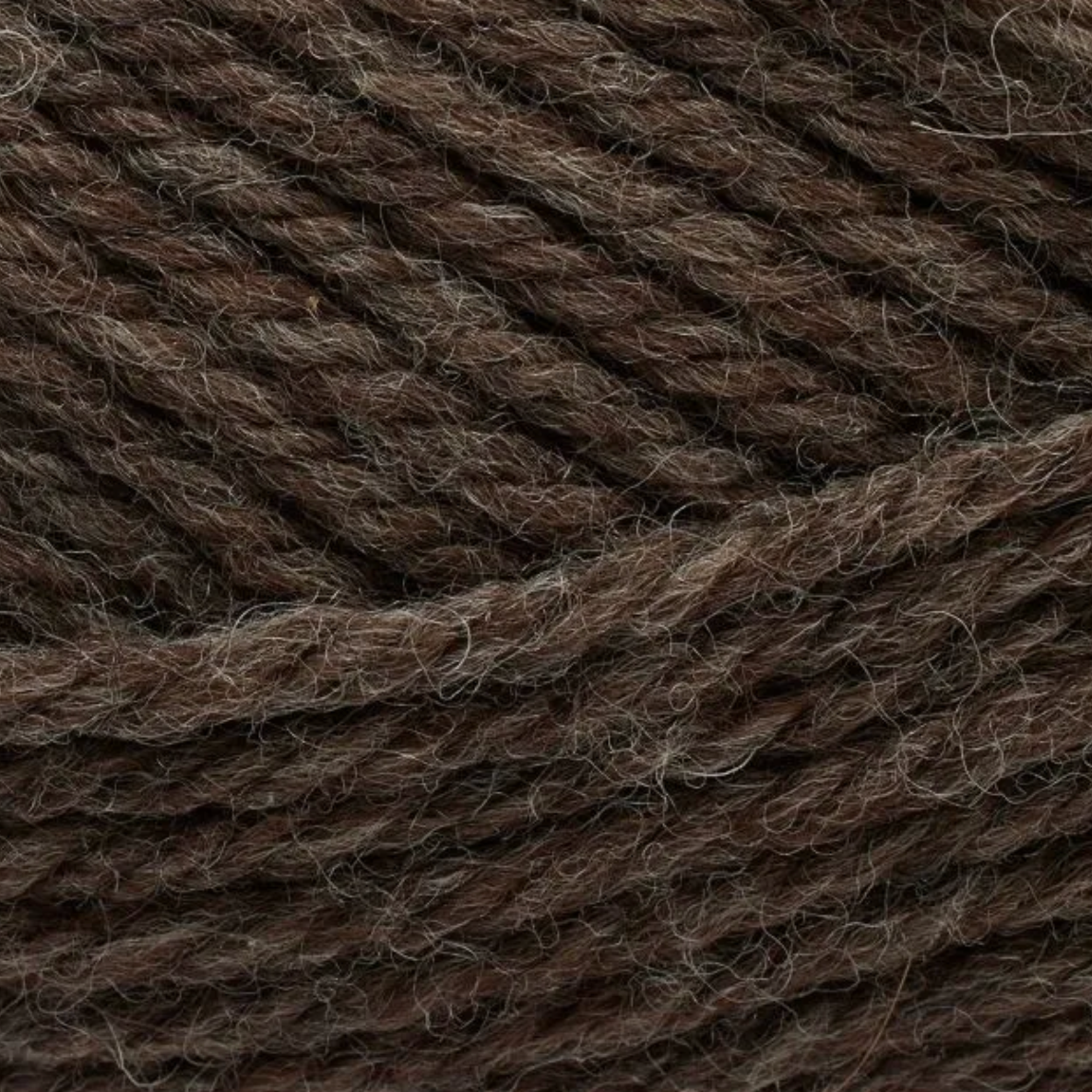 Peruvian Highland Wool │ Filcolana - 973 Nougat (me)