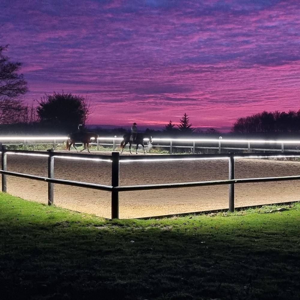 5 m. vandtæt Ridebane Neon COB strip - 230V, IP67, 288 LED, 11,5W/m, kan klippes for hver 10cm - Kulør : Kold