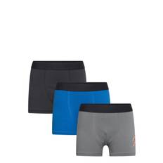 LEGO KIDSWEAR Lwaris 612 - 3-Pack Boxers |Blå |92/98