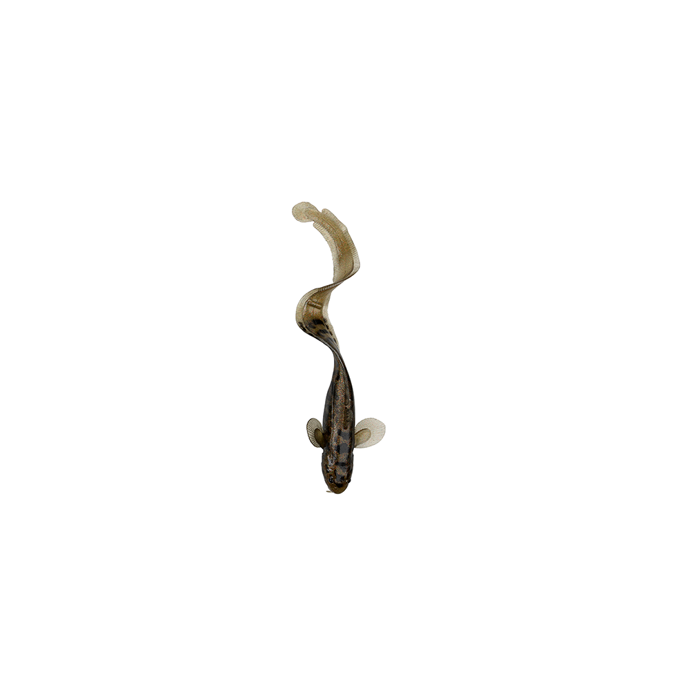 Savage Gear 3d Burbot 25cm - 75gr Motor Oil Uv - Wobler