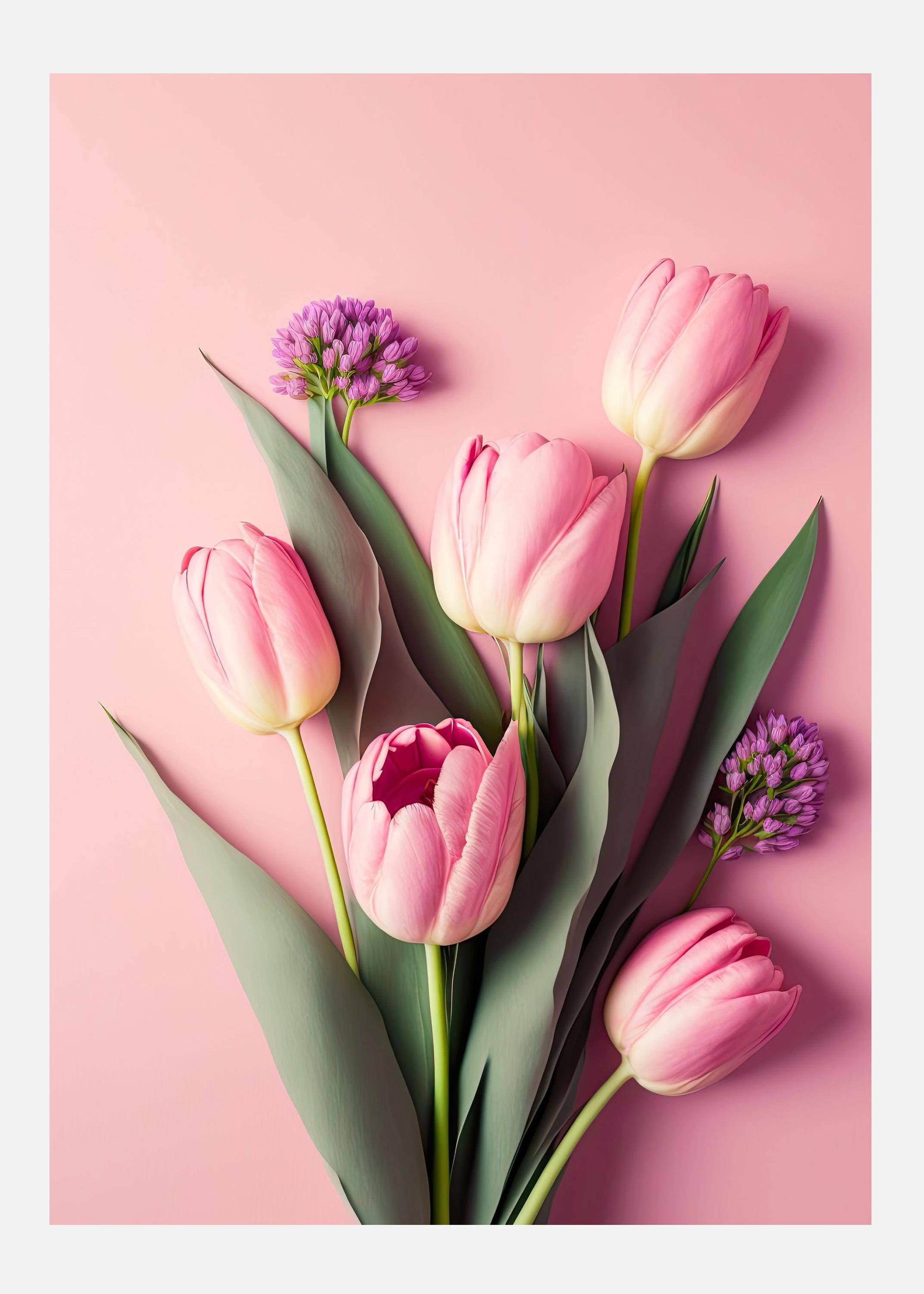 Pink Tulips Canvastavla (100x140 cm)