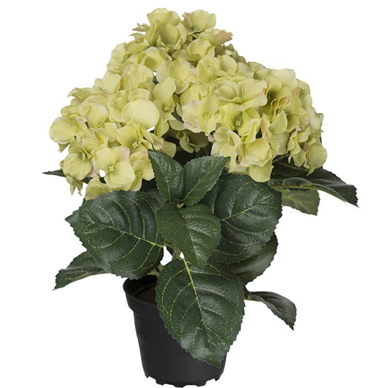 Kunstig hortensia 30 cm. lime.