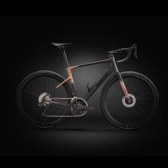 Cipollini Itaca 2025 - Shimano Dura-Ace Di2 2x12sp - Campagnolo Bora WTO 45 - 064 / XL / Carbon-Gold Pink-Shiny Matt (XL)