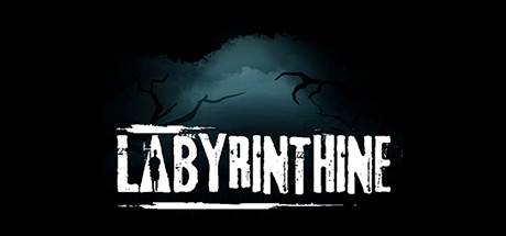 Labyrinthine (PC) - Standard