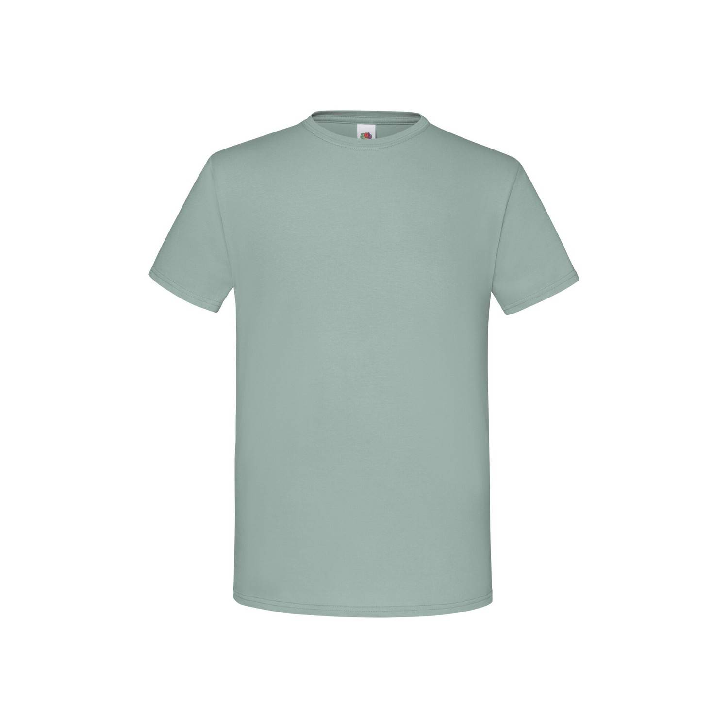 Fruit of the Loom Unisex Iconic T-Shirt för vuxna (Sage) - Grå