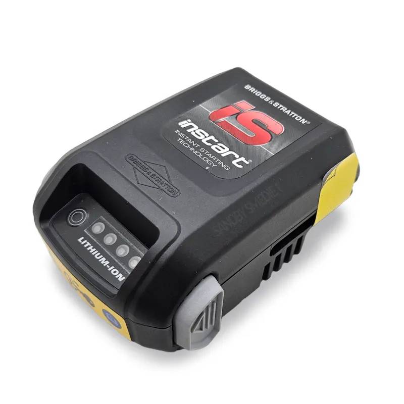 Briggs & Stratton batteri (597189).