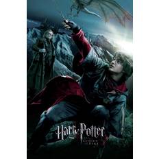 Konsttryck Harry Potter - Den flammande bägaren - Harry, 26.7 × 40 cm