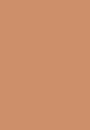 SILK EFFECT BRONZING POWDER - Bronzer - n. 2.2 ipanema matte