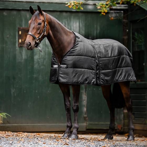 Horseware Rambo Optimo liner.