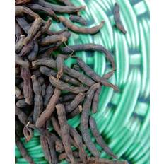 Ethiopisk peber – Selim peber -Grains of Selim 25 g