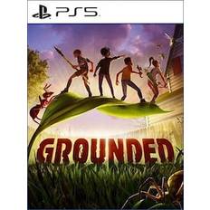 Grounded (PS5) - PSN Account - GLOBAL