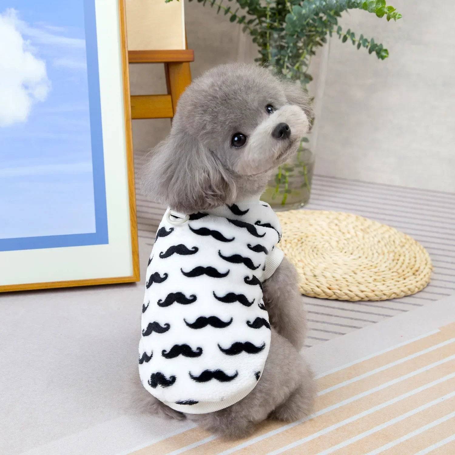 Warm Winter Dog Jacket - White / S (S)