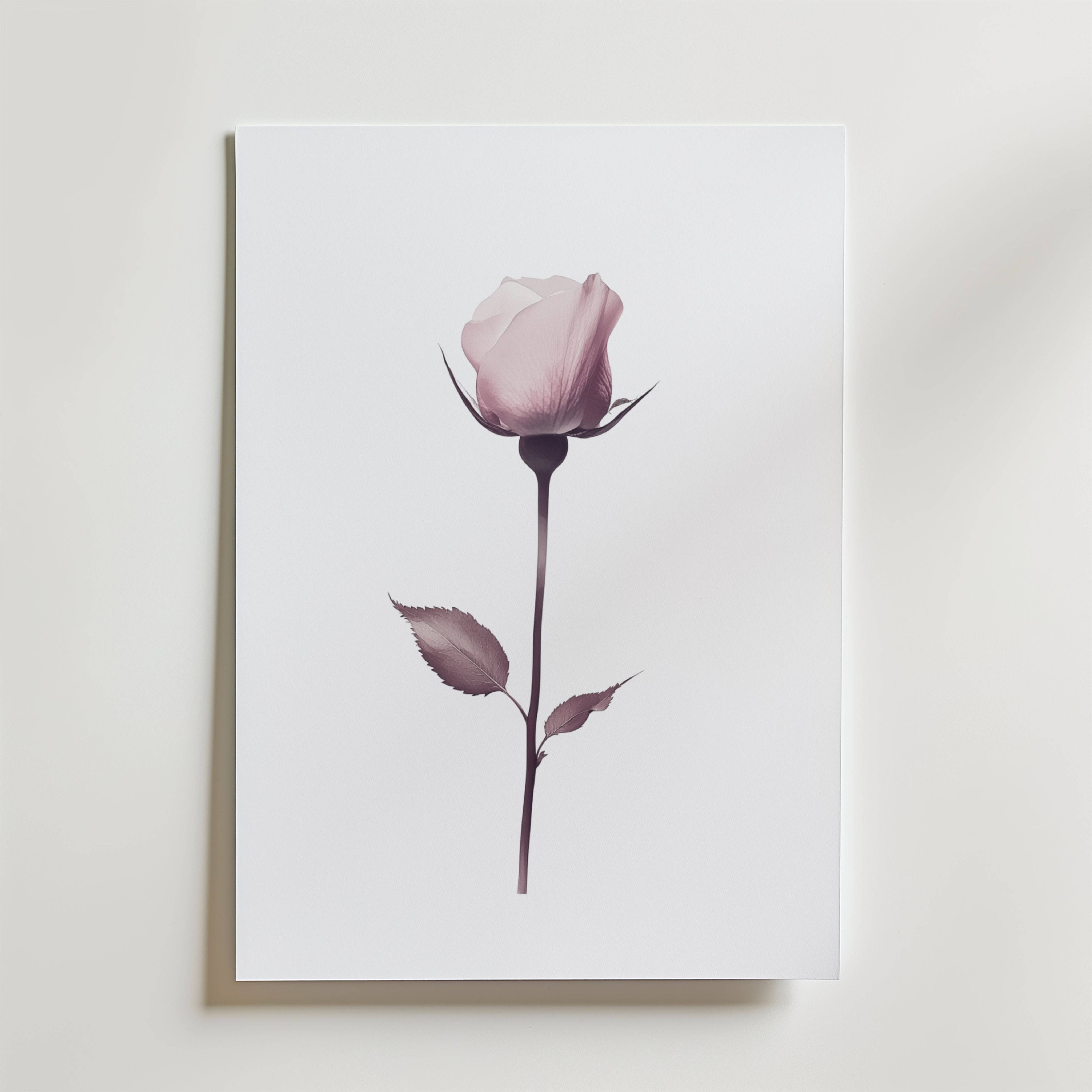 Elegant pink rose stem Poster - Premium Canvas 21x30 cm