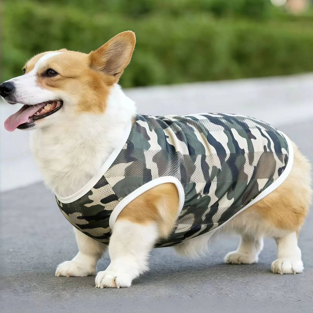 Breathable Mesh Cooling Vest for Dogs - Camouflage / 4XL (4XL)