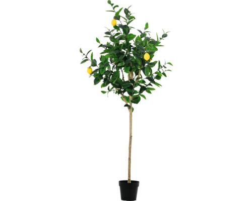 Konstväxt LAFIORA Citronträd i kruka 180cm