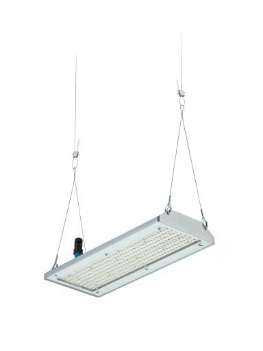 GentleSpace Highbay BY580P 13000lm/840 Bredstr. WB DALI IP65