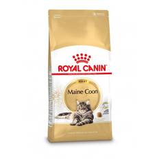 Royal Canin Adult Maine Coon kattefoder 2 x 10 kg