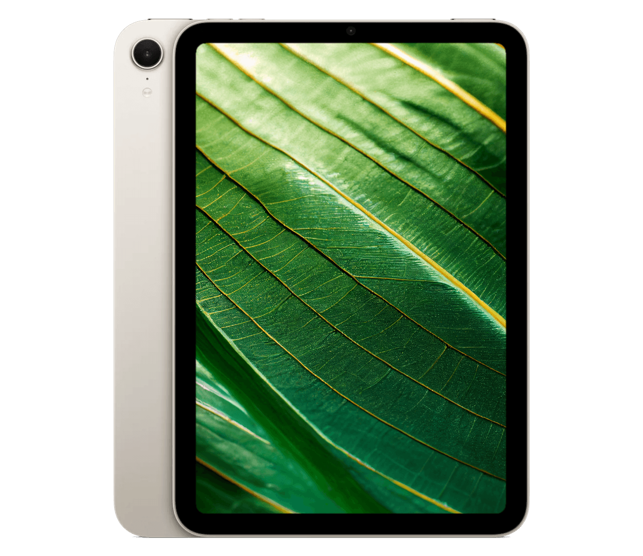 iPad Mini 7 (2024) 8.3" WiFi + 5G