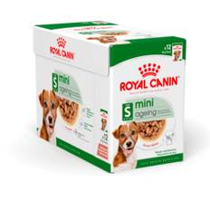 Royal Canin Mini Ageing 12+ i sovs - 12x85 g