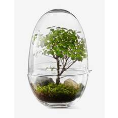 Design House Stockholm Grow Greenhouse - Gå-bort presenter - CLEAR / undefined