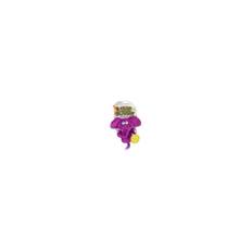 Hear Doggy W Chew Guard - Chicken - 15cm