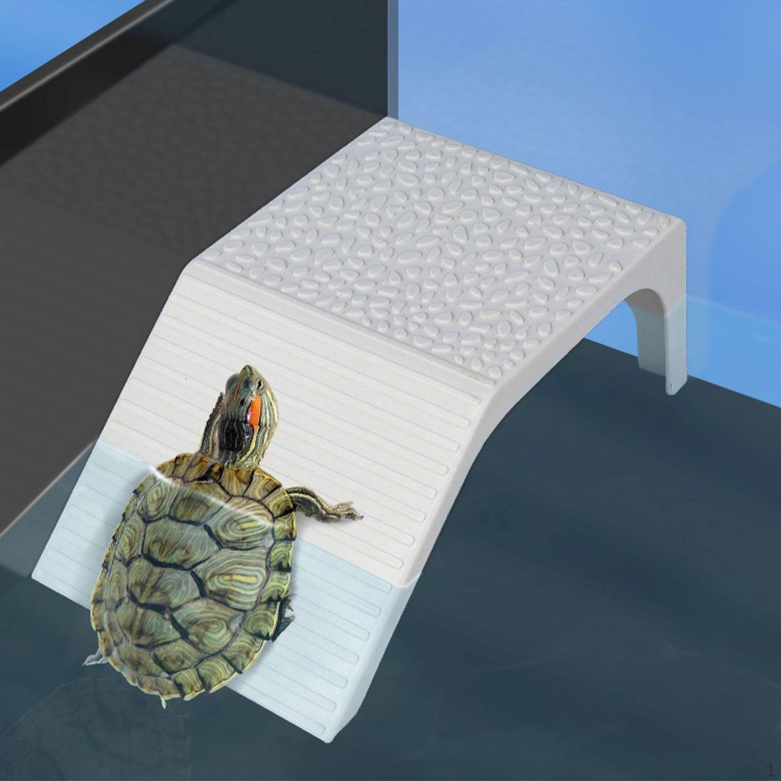 Sköldpaddsramp Sköldpaddsbaskning Multifunktionell Vila Terrapin Terrass Akvarium Vilodocka