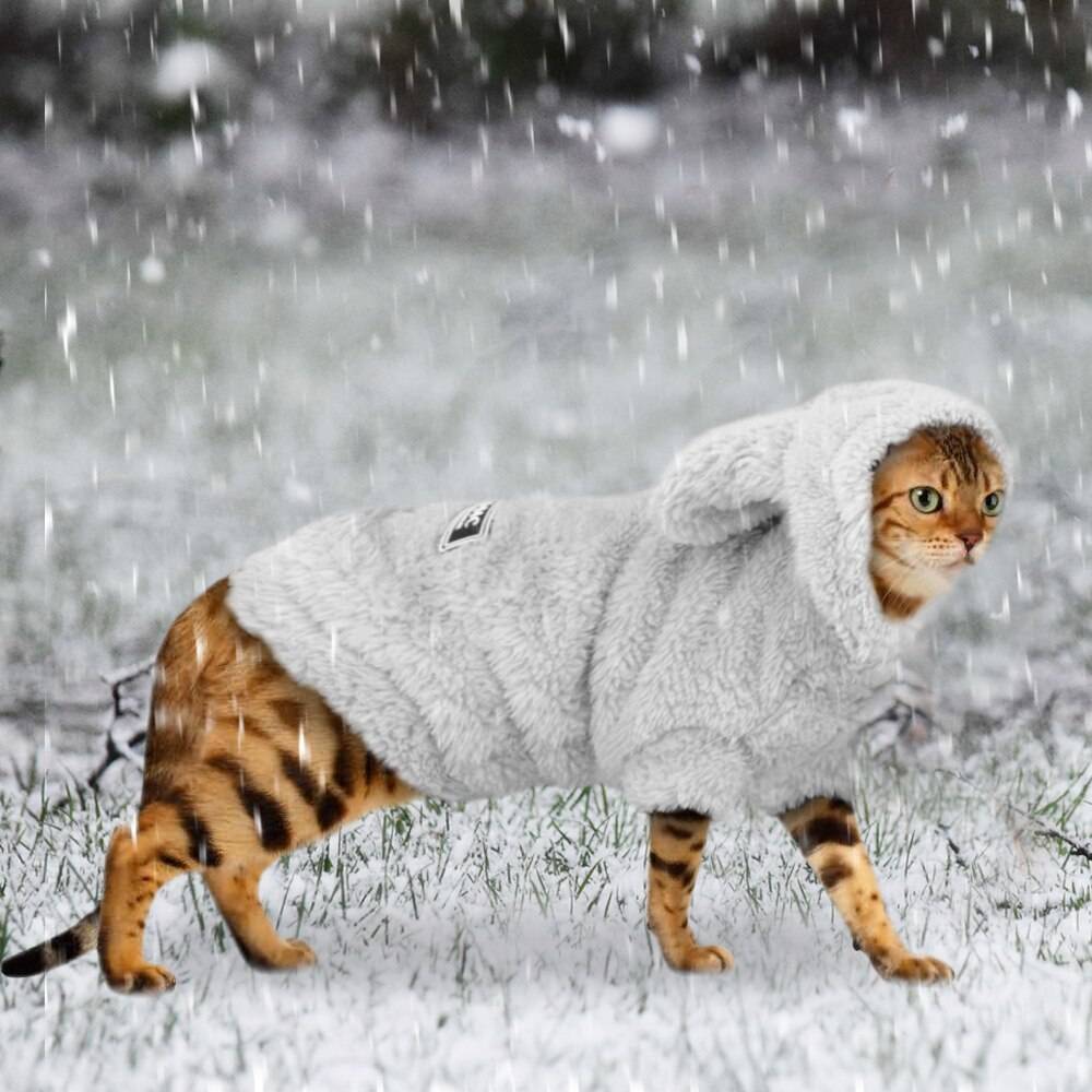 Varma kattkläder vinter husdjur valp kattunge kappa jacka för små medelstora hundar katter chihuahua yorkshire kläder kostym rosa s -2xl - Grå / Xl