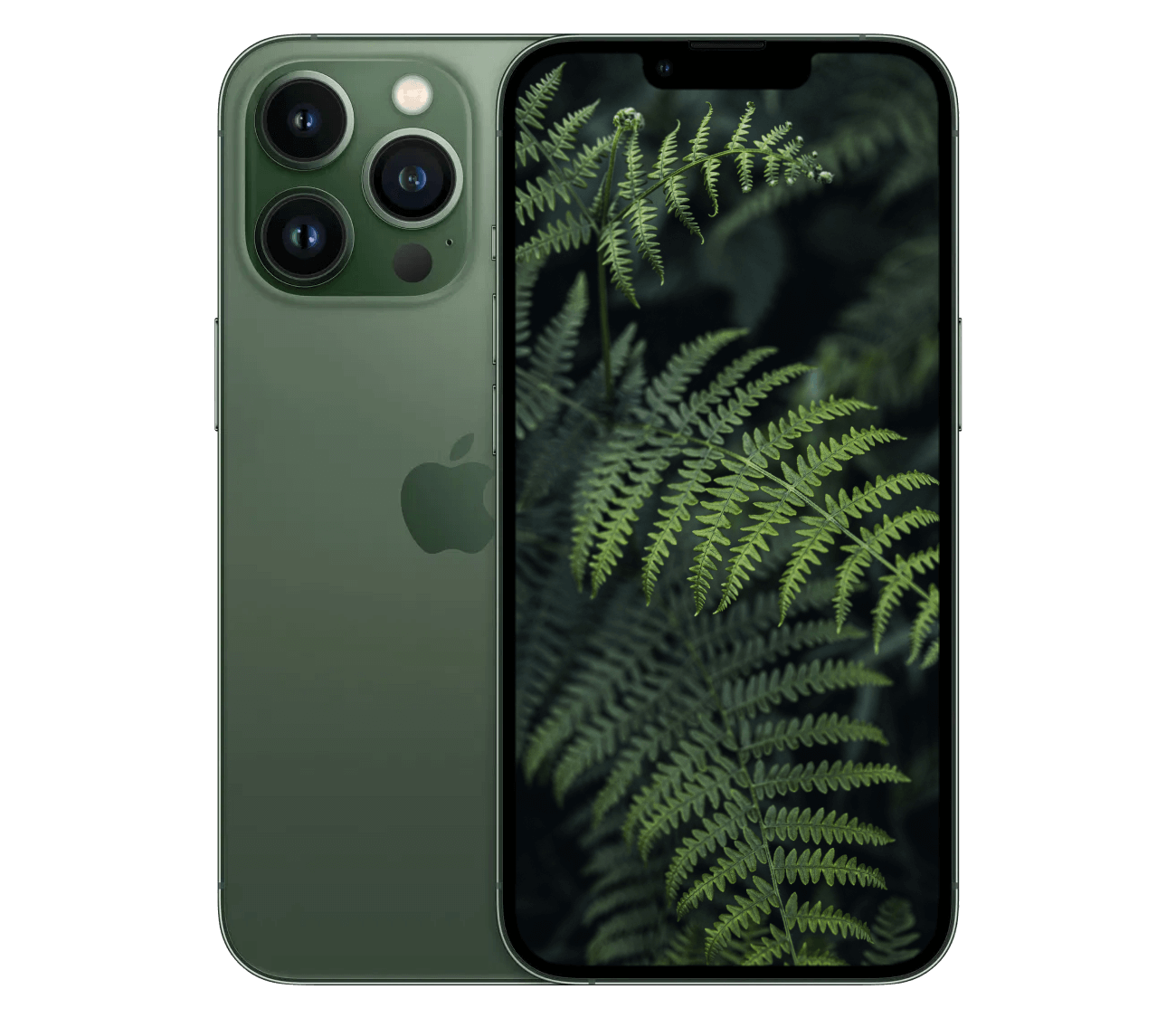 iPhone 13 Pro