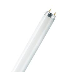 Fluorescent tube L 36W/830 ( C) - BULK