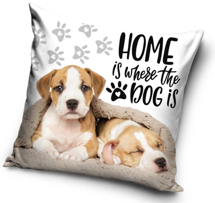 Dog hem kuddfodral 40x40 cm sammet
