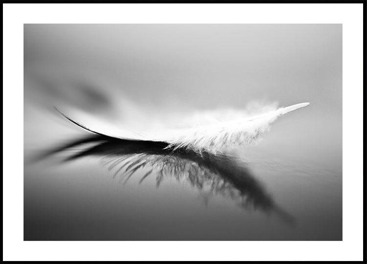White (30x40cm) - Plakater > Fotografiska Posters, Abstrakta Posters, Svart och Vit Posters, Djur Posters