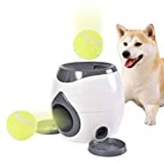 Interaktiv bollkastningsmaskin kastanordning Träning husdjur automatisk bollkastare med 2 tennisbollar bollkastningsmaskin Leksak för hundar husdjur