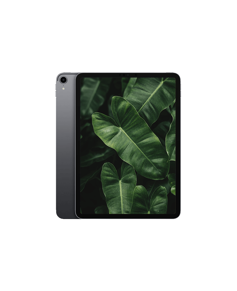 iPad Pro 1 (2018) 11" Wi-Fi Rymdgrå / 256GB / Nyskick