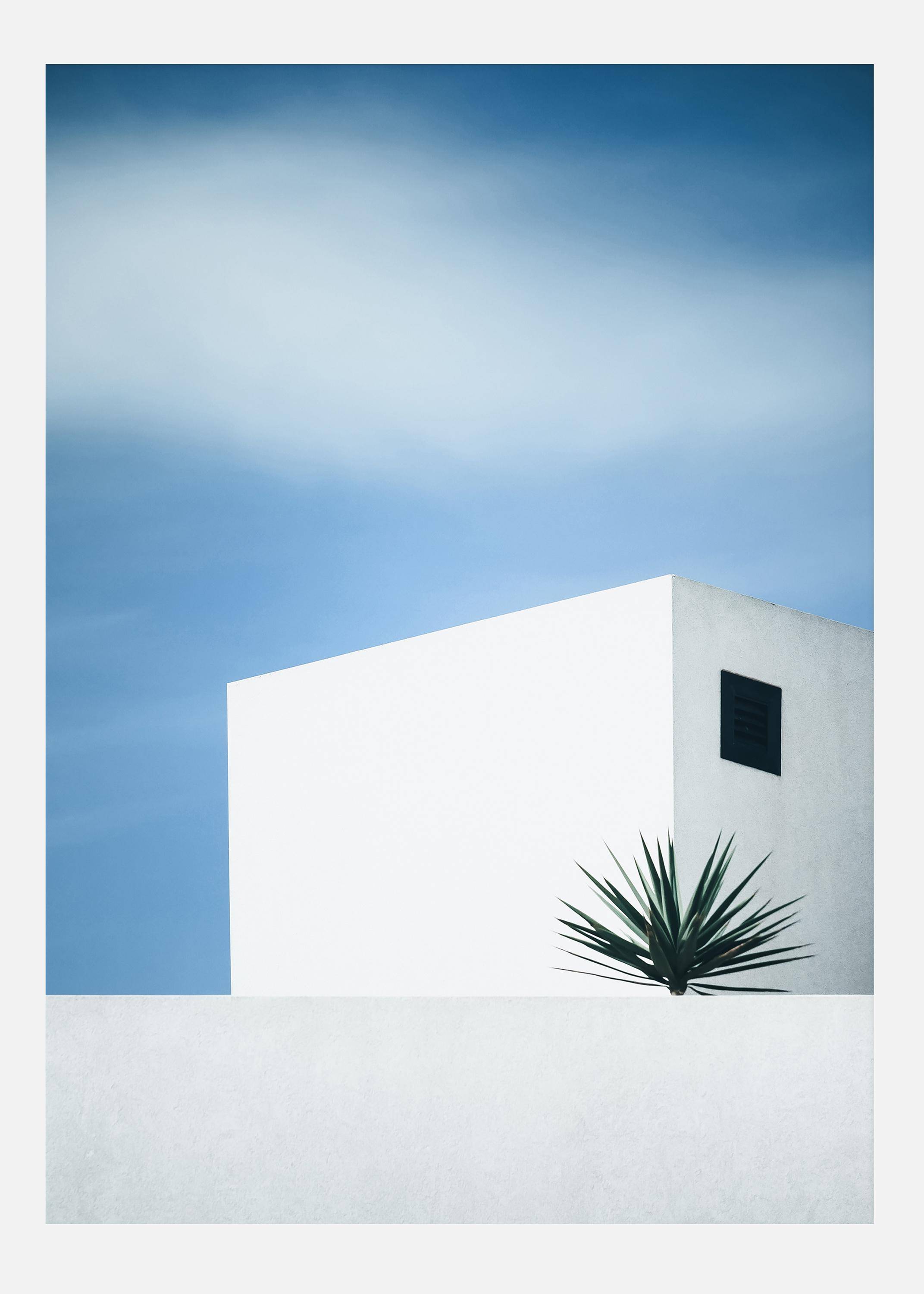 Palm Tree Canvastavla (100x140 cm)