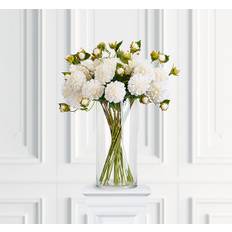 Dahlia snittblomma cream - Vit (H: 66 cm)